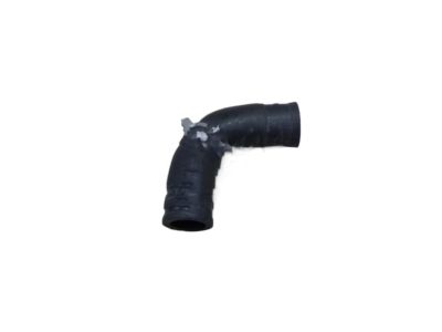 Lexus 16296-31030 Hose, Water By-Pass, NO.8