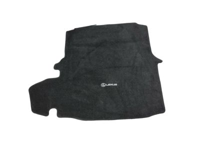 Lexus Carpet Trunk Mat, Black PT206-24150-20