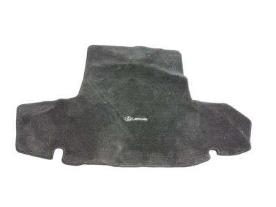 Lexus Carpet Trunk Mat, TMAT PT206-30014-01