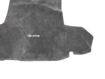 Lexus Carpet Trunk Mat PT206-30065-02