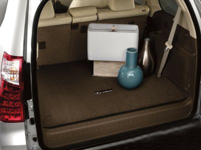 Lexus Carpet Cargo Mat, Black PT206-60104-20
