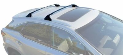 Lexus Roof Rack Cross Bars PT278-48161