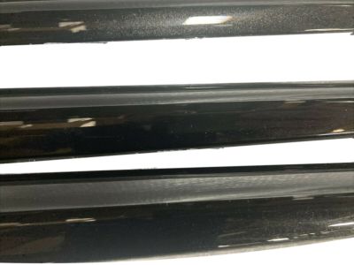 Lexus Body Side Moldings PT29A-48111-22