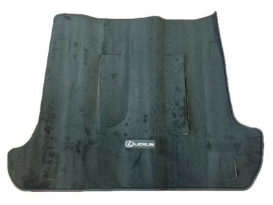 Lexus Carpet Cargo Mat PT548-33072-02