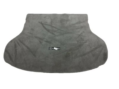 Lexus Carpet Cargo Mat PT548-48984-03