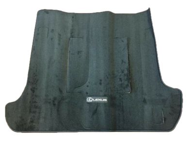 Lexus Carpet Cargo Mat PT548-60380-02