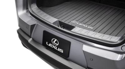 Lexus Rear Bumper Applique PT747-76192