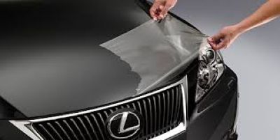 Lexus Paint Protection Film PT907-78150