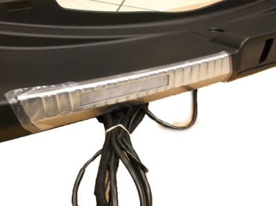 Lexus Illuminated Trunk Sill, Black PT944-33190-02