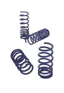 Lexus F SPORT Lowering Springs Set PTR07-53090