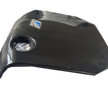 Lexus F SPORT Carbon Fiber Engine Cover PTR48-53081