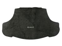 Lexus Carpet Trunk Mat - PT206-33190-02