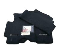 Lexus RX330 Carpet Floor Mats - PT206-48030-20