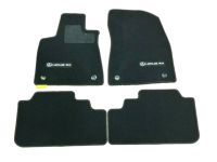 Lexus RX450h Carpet Floor Mats - PT206-48161-20