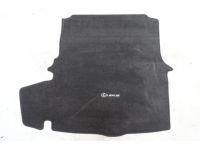 Lexus IS350 Carpet Trunk Mat - PT206-53149-10