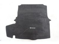 Lexus Carpet Trunk Mat - PT206-53152-20