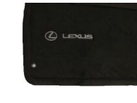 Lexus ES350 Carpet Floor Mats - PT208-33150-20