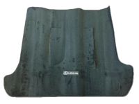 Lexus ES350 Carpet Cargo Mat - PT548-33072-02