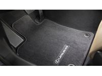 Lexus ES350 Carpet Floor Mats - PT926-33194-20