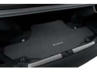 Lexus Carpet Trunk Mat - PT926-50187-02