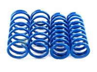 Lowering Springs