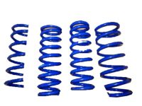 Lexus IS300 Lowering Springs - PTR07-53140