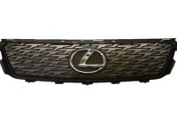 Lexus IS250 Front Grille - PTR54-53100