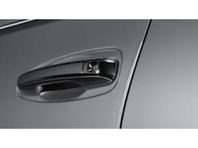 Lexus Door Edge Guards - Caviar (223) - Caviar (223), Graphite Black Gf. PT936-50180-12