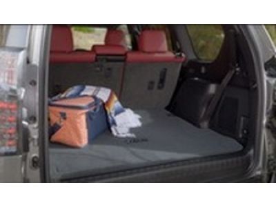 Lexus Carpet Cargo Mat, Black PT206-60105-50