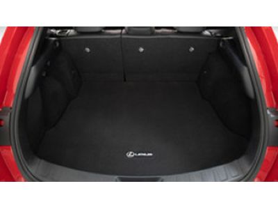 Lexus Carpet Cargo Mat, Black (C2M4) With Black Locking Sitch PT919-76212-20