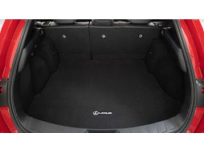 Lexus Carpet Cargo Mat, Black (C2M4) With Black Locking Sitch PT919-76213-20