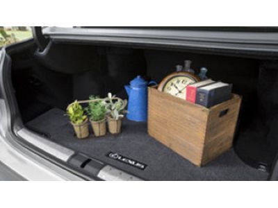 Lexus Carpet Trunk Mat - Black PT926-50198-02