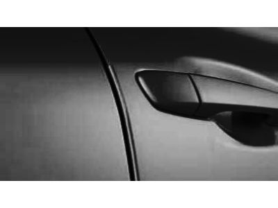 Lexus Door Edge Guard -CAVIAR (223) PT936-60110-12