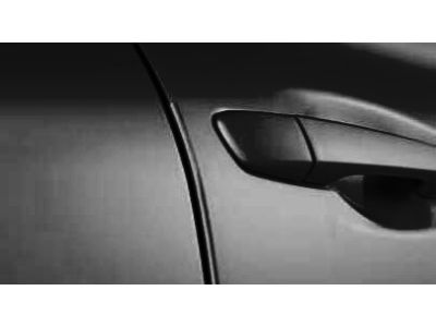 Lexus Door Edge Guard -CAVIAR (223) PT936-60110-12
