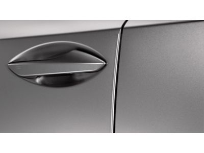 Lexus Door Edge Guards - Caviar (223) - Caviar (223), Graphite Black Gf. PT936-78150-12
