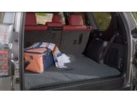 Lexus GX460 Carpet Cargo Mat - PT206-60105-50