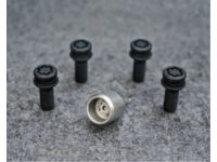 Lexus Wheel Locks - PT276-53210-02