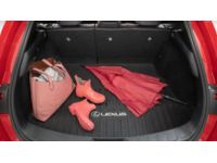 Lexus UX250h Carpet Cargo Mat - PT908-76210-02