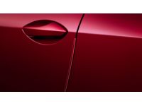 Lexus RC300 Door Edge Guard - PT936-24150-32