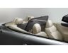Lexus Wind Screen