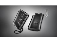 Lexus PT420-00184-L1 Key Gloves