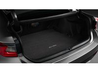 Lexus PT936-24150-10 Door Edge Guards