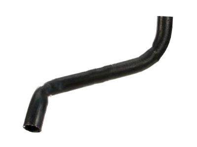 Lexus ES300 Radiator Hose - 16572-20010