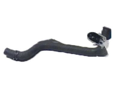 2011 Lexus LS460 Radiator Hose - 16567-38011