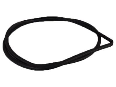 2021 Lexus LX570 Weather Strip - 62311-60141