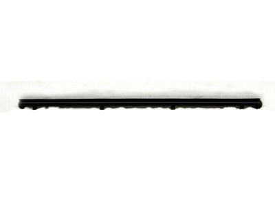 Lexus Door Seal - 68172-48032