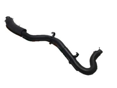 Lexus LS460 Crankcase Breather Hose - 12261-38030