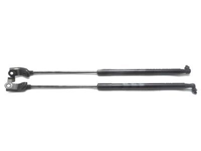 2021 Lexus RC300 Lift Support - 53450-0W251