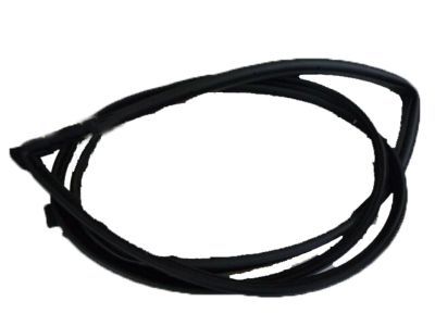 Lexus GS300 Weather Strip - 67862-30251