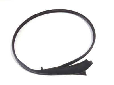 Lexus LS600hL Door Seal - 67863-50040